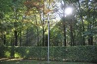 Metall Stab umgeben von Natur 