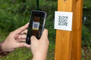 QR Code mit Handy scannen