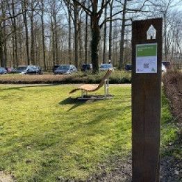 Wellenbank auf einer Wiese