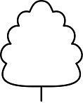 Baum
