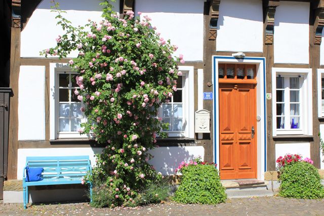 Lilienstraße in Warendorf