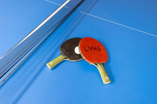 Tischtennisplatte