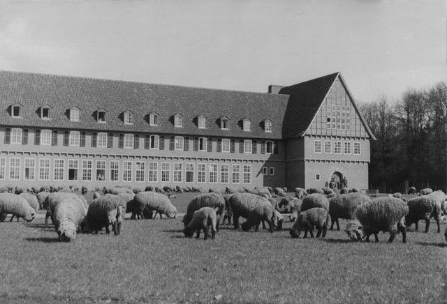 schwarz-weiß Bild von LVHS Gebäude mit Schafen auf der Wiese